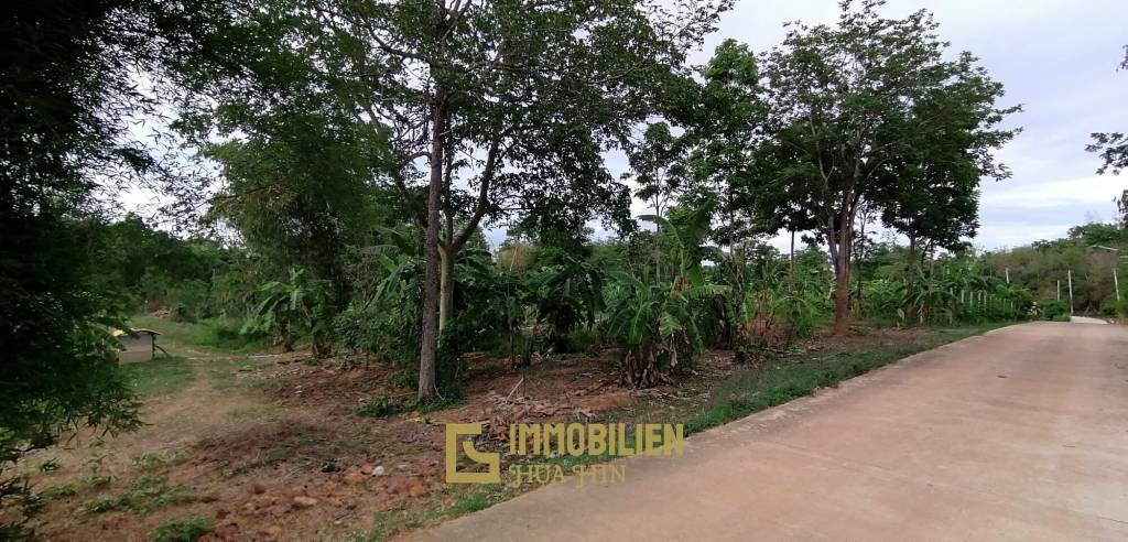 4 Rai plot of land in Nong Ya Plong