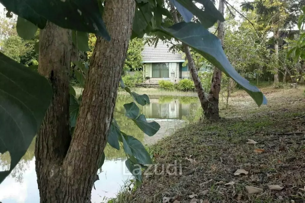 4 Bedrooms House on 3 Rai for Sale