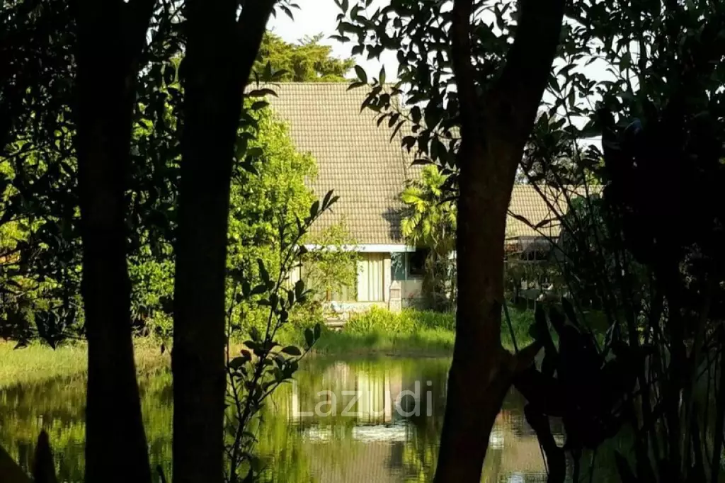 4 Bedrooms House on 3 Rai for Sale