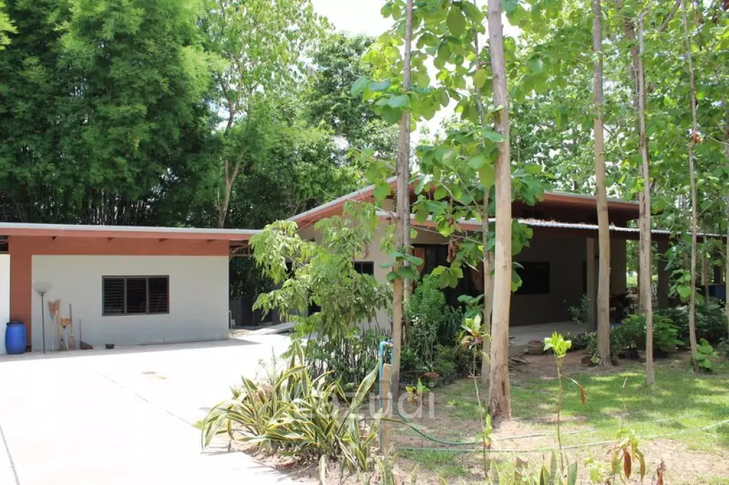 Beautiful house in nature for Sale
