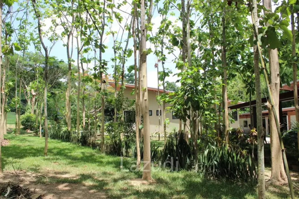 Beautiful house in nature for Sale