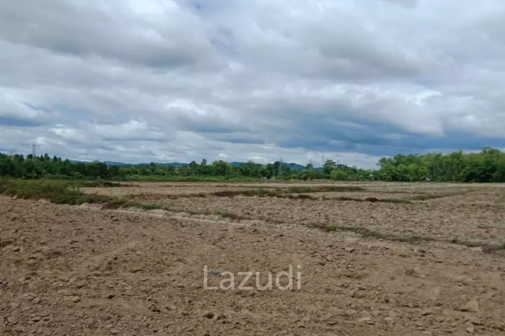 Land in Mae Lao with Pond for Sale