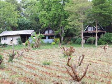 Cheap 3 Bedrooms House for Rent