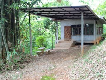 Cheap House on hill for Rent
