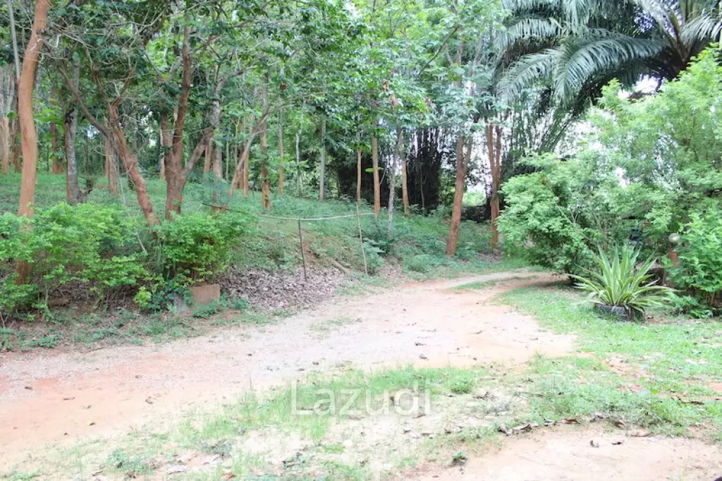 Townhouse Next to Rajabhat University for Sale