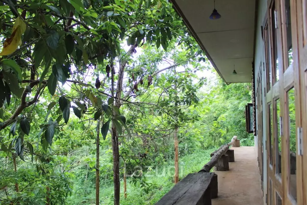 Townhouse Next to Rajabhat University for Sale
