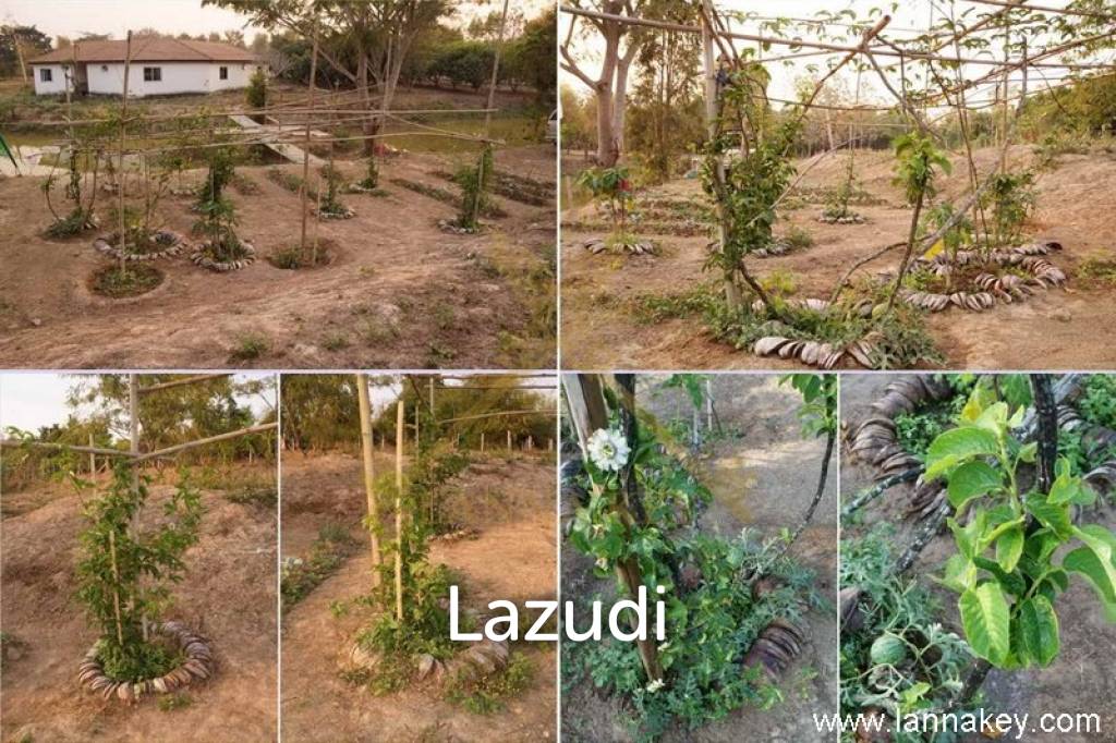 Resort on 17 Rai for Sale