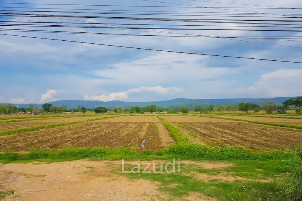 20 Rai on Phahonyotin Road side