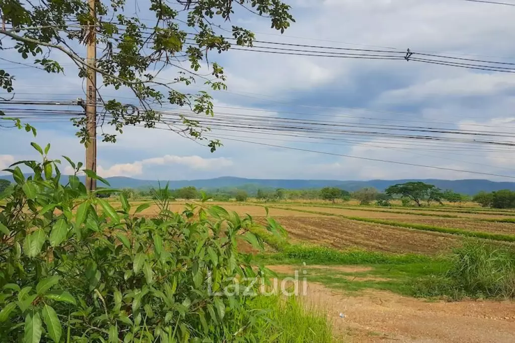 20 Rai on Phahonyotin Road side
