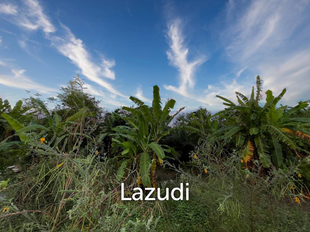 RARE FREEHOLD LAND IN SEMINYAK MINUTES DRIVE FROM THE BEACH