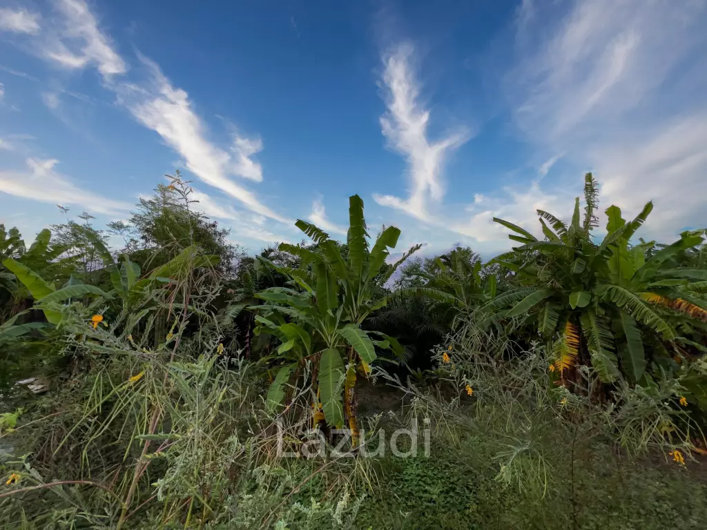 RARE FREEHOLD LAND IN SEMINYAK MINUTES DRIVE FROM THE BEACH