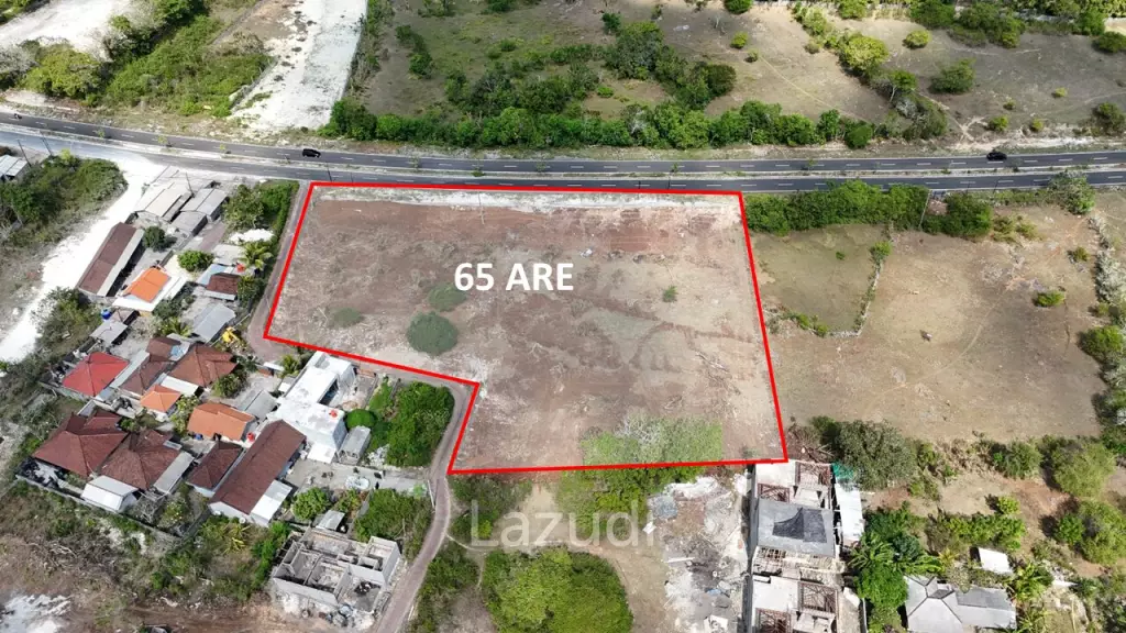6500 M2 FREEHOLD COMMERCIAL LAND NEAR PANDAWA BEACH