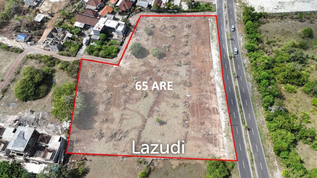 6500 M2 FREEHOLD COMMERCIAL LAND NEAR PANDAWA BEACH