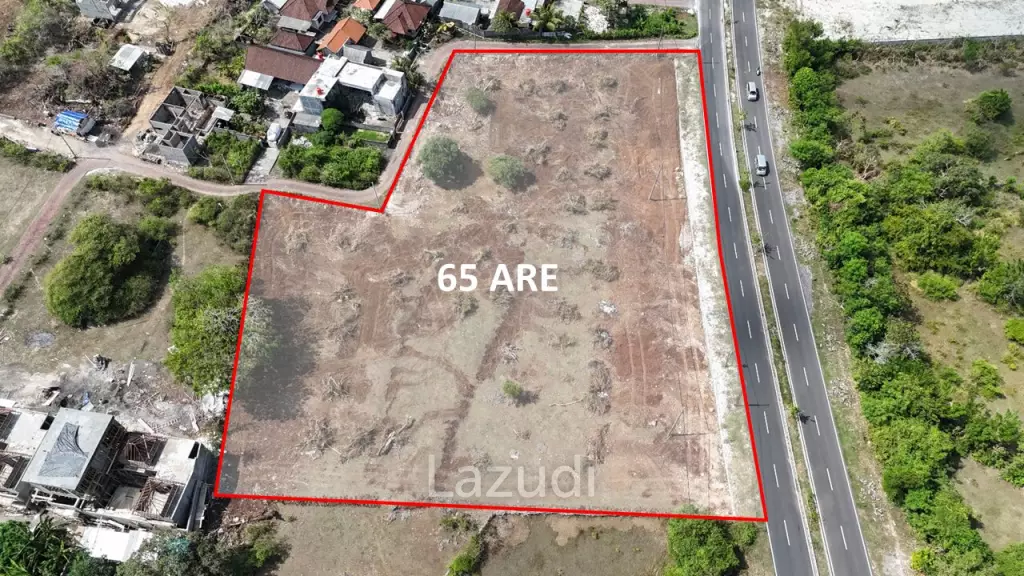 6500 M2 FREEHOLD COMMERCIAL LAND NEAR PANDAWA BEACH