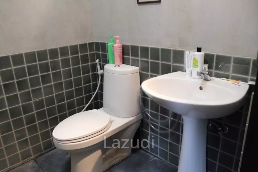 Charming House + Guest House for Sale