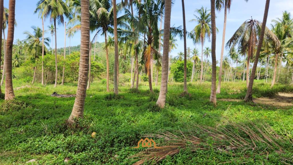 Prime Beachfront Land for Sale in Bang Ma Kham Ko Samui