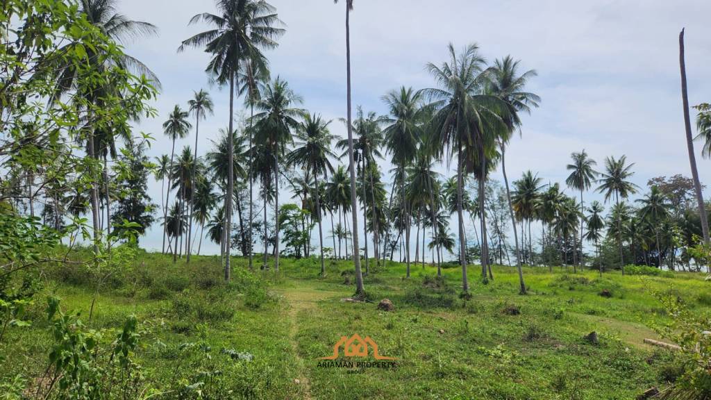 Prime Beachfront Land for Sale in Bang Ma Kham Ko Samui