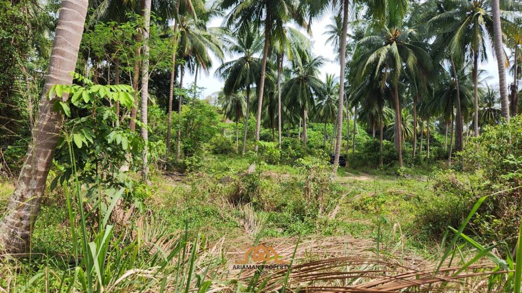 Prime Beachfront Land for Sale in Bang Ma Kham Ko Samui