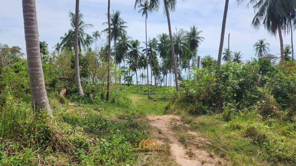 Prime Beachfront Land for Sale in Bang Ma Kham Ko Samui