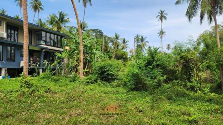 Prime Beachfront Land for Sale in Bang Ma Kham Ko Samui