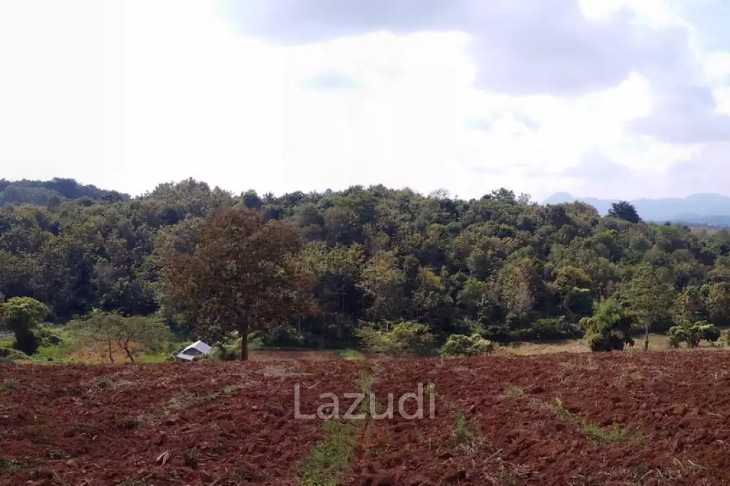 13 Rai Near to Wat Huay Plakang for Sale