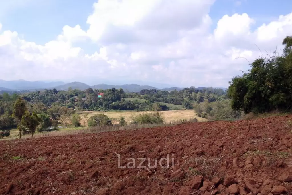 13 Rai Near to Wat Huay Plakang for Sale