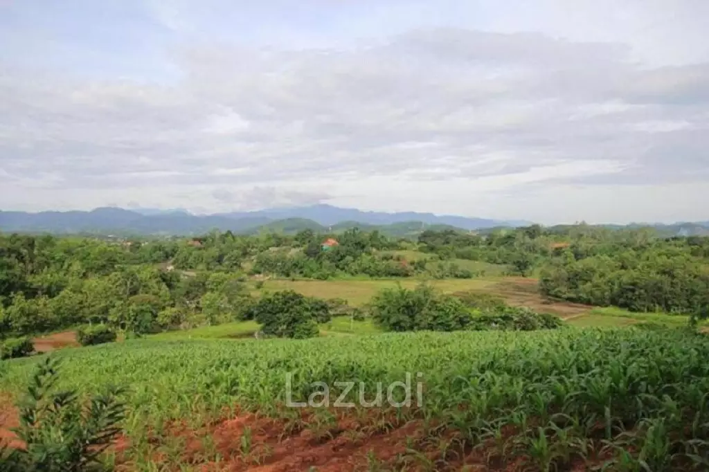 13 Rai Near to Wat Huay Plakang for Sale