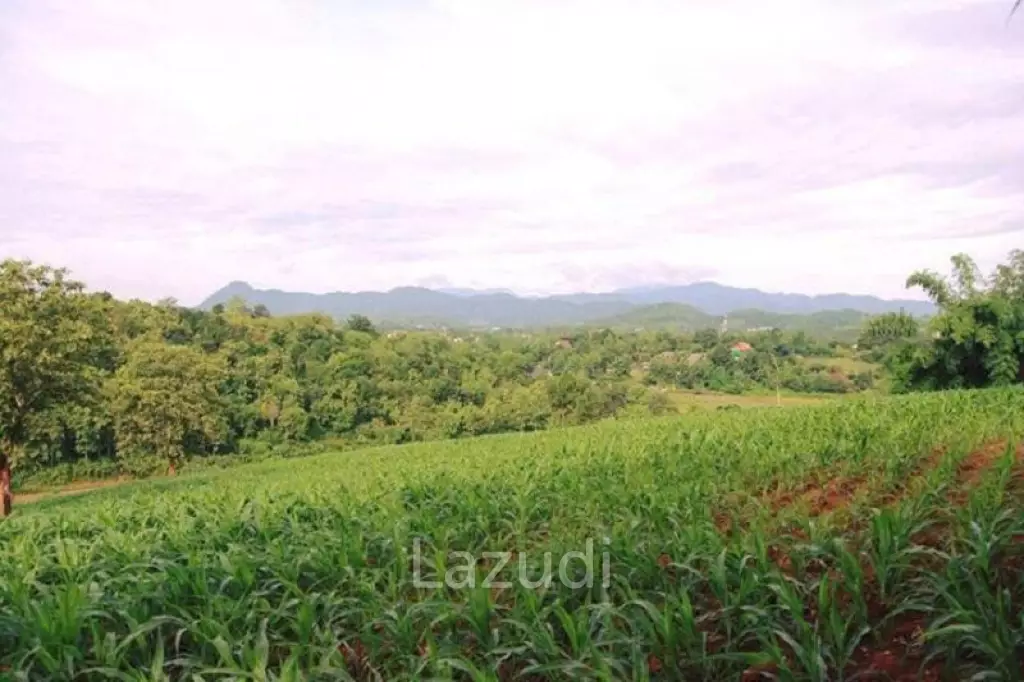 13 Rai Near to Wat Huay Plakang for Sale