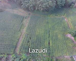 6 rai of land on Hill for Sale