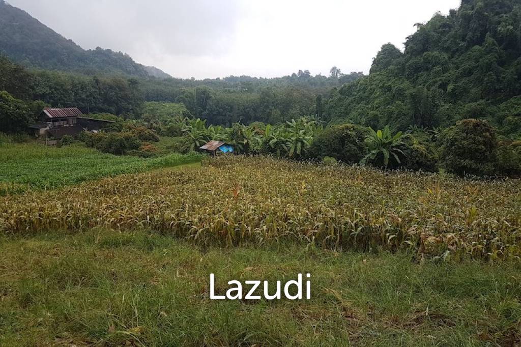 6 rai of land on Hill for Sale