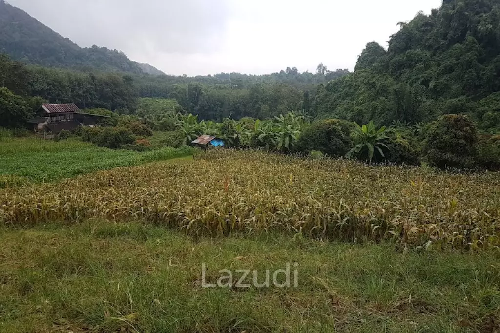 6 rai of land on Hill for Sale