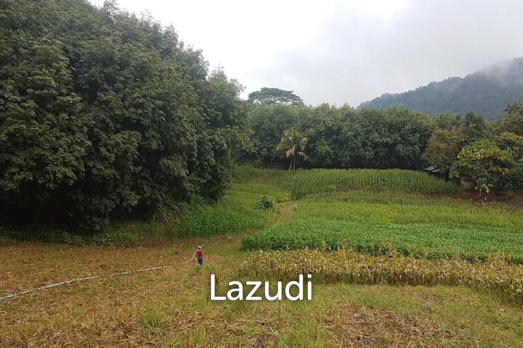 6 rai of land on Hill for Sale