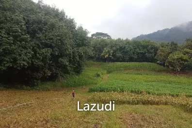 6 rai of land on Hill for Sale