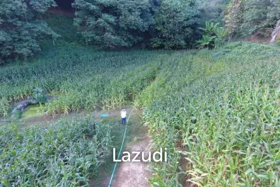 6 rai of land on Hill for Sale