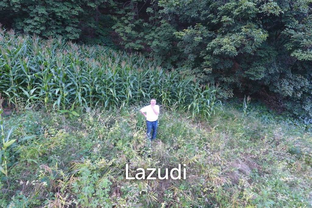 6 rai of land on Hill for Sale
