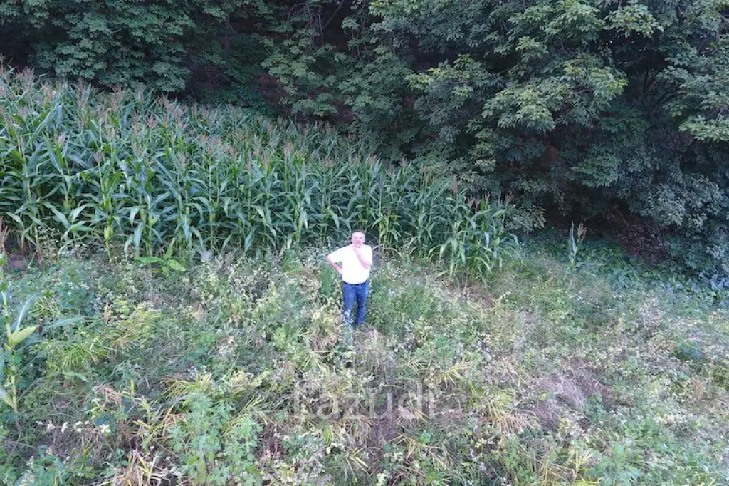 6 rai of land on Hill for Sale