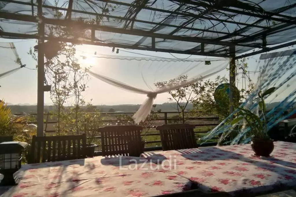 Apartment 24 Room With 5 Bedroom House for Sale