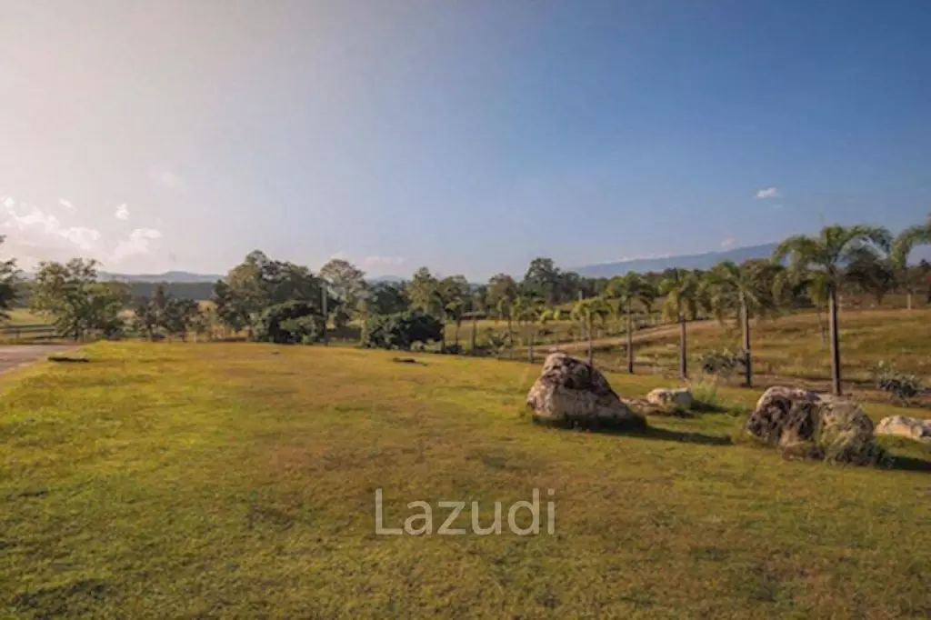 Exceptional House on 4 Hectares of Land for Sale