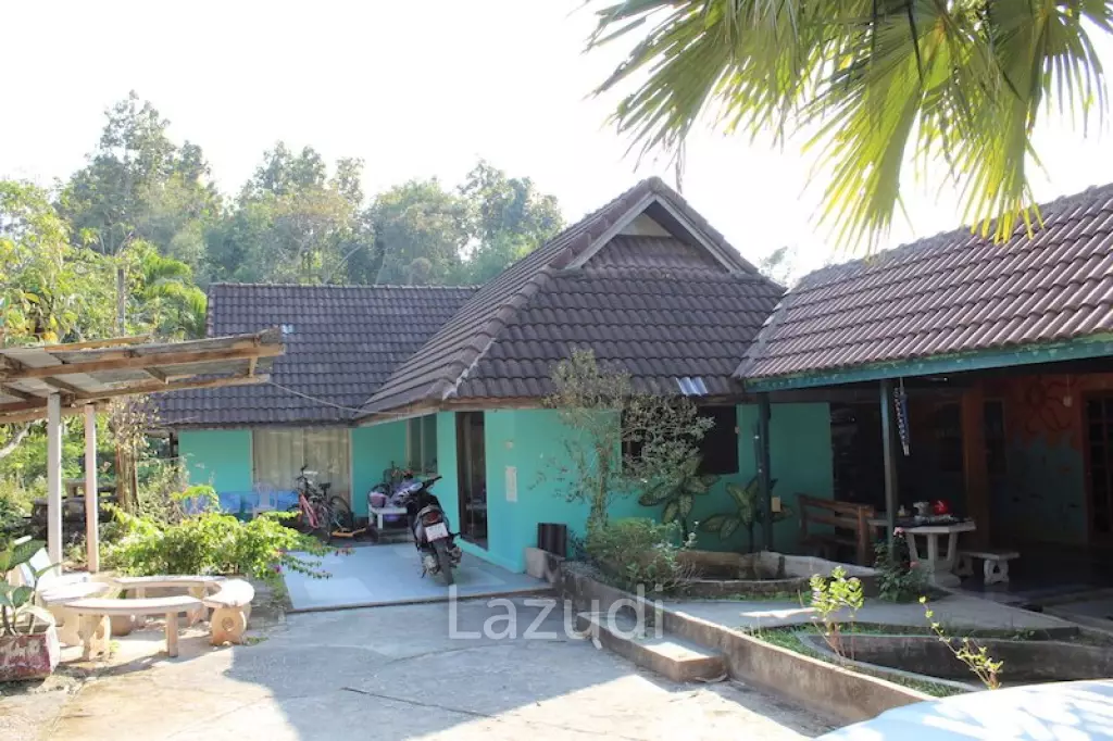 House Near City with Nice Garden for Sale