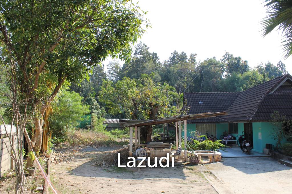 House Near City with Nice Garden for Sale