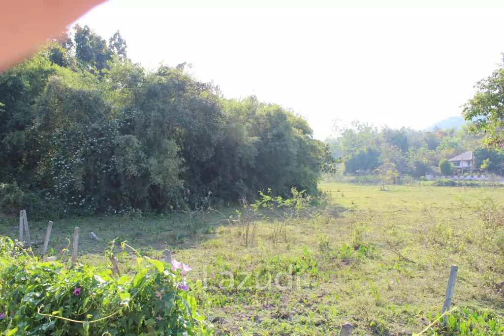 House Near City with Nice Garden for Sale