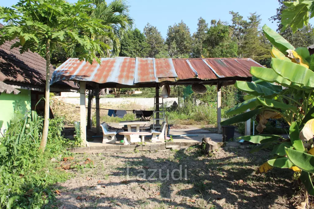 House Near City with Nice Garden for Sale