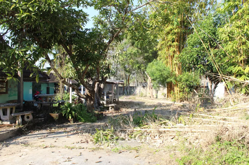House Near City with Nice Garden for Sale