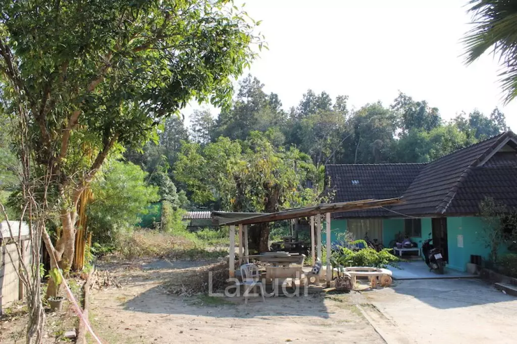 House Near City with Nice Garden for Sale