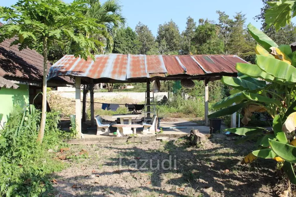 House Near City with Nice Garden for Sale