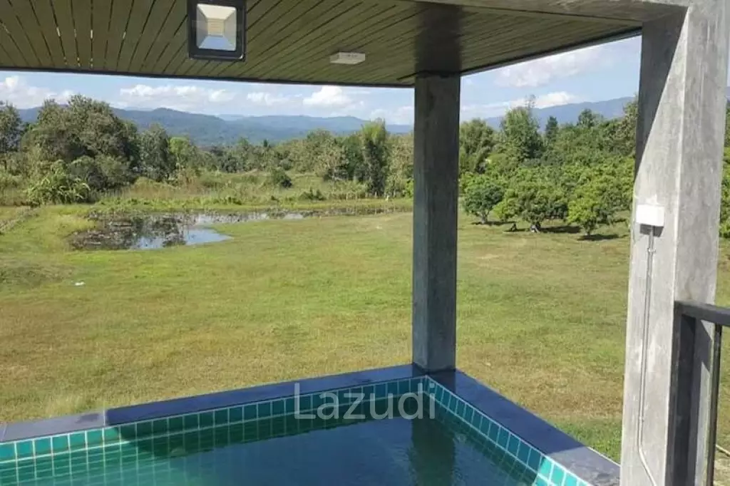 Luxurious Contemporary House for Sale