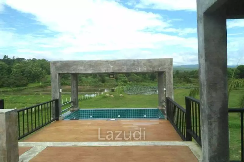 Luxurious Contemporary House for Sale