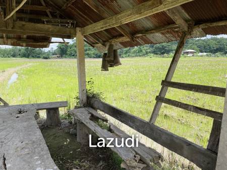 4 Rai Land for Sale and Mountain View in Chiang Rai