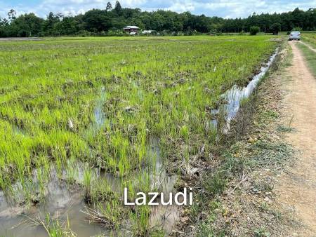 4 Rai Land for Sale and Mountain View in Chiang Rai