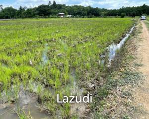 4 Rai Land for Sale and Mountain View in Chiang Rai